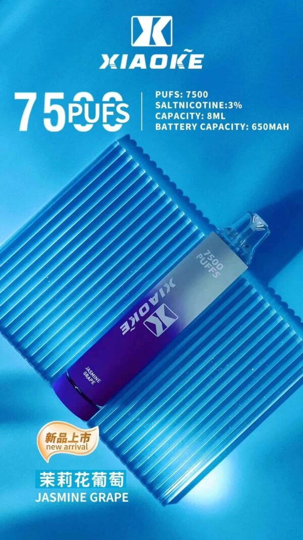 XIAOKE 7500 PUFFS 梟客棄式抛電子煙 一次性霧化桿推薦·