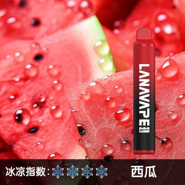 LANA 8000 PUFFS 拋棄式一次性電子煙 台灣電子煙推薦