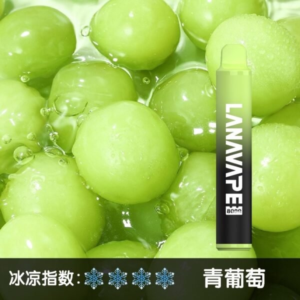LANA 8000 PUFFS 拋棄式一次性電子煙 台灣電子煙推薦
